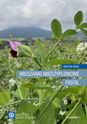 Catalog of intercrop mixtures FitSOIL 2022