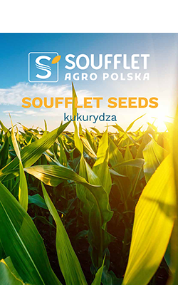 Nowy katalog: kukurydza 2026