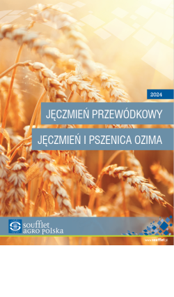 Katalog JĘCZMIEŃ PRZEWÓDKOWY. JĘCZMIEŃ I PSZENICA OZIMA 2024