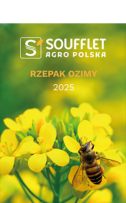 Nowy katalog: Rzepak Ozimy 2025