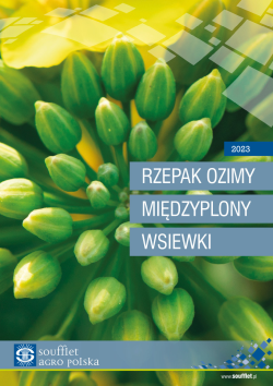 Katalog Rzepak Ozimy, Międzyplony, Wsiewki 2023